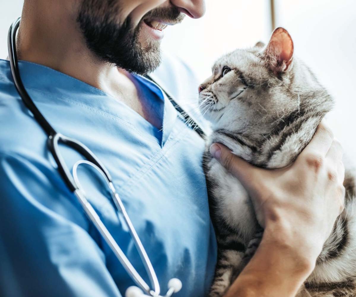 Website Designing Company for Pet Clinic in Dubai