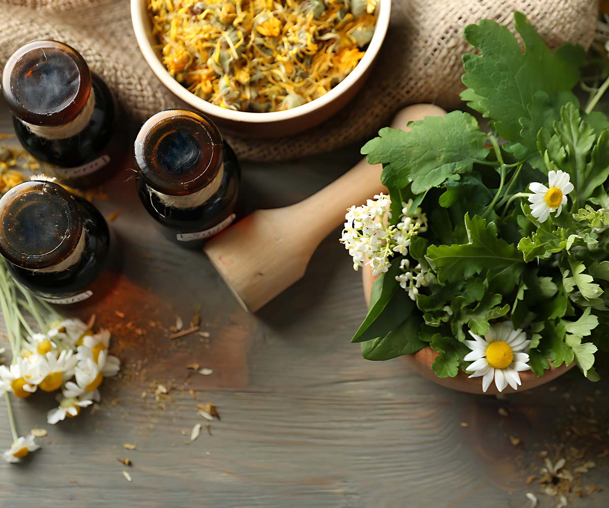 Website Designing Company for Naturopathy in Dubai