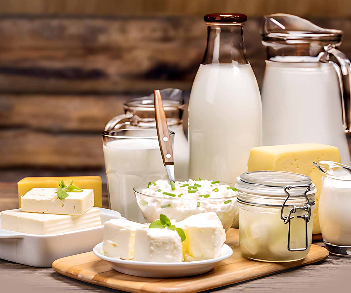 SEO for Dairy Products in Dubai