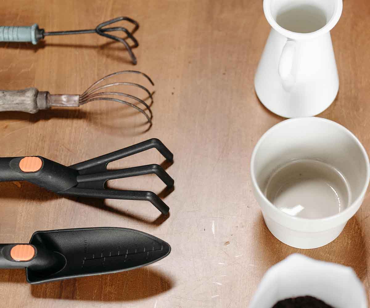 SEO for Gardening items in Dubai