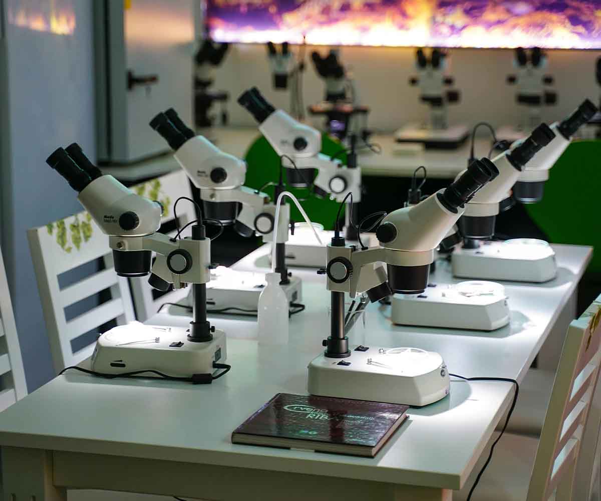 SEO for Lab furniture and Equipment in Dubai
