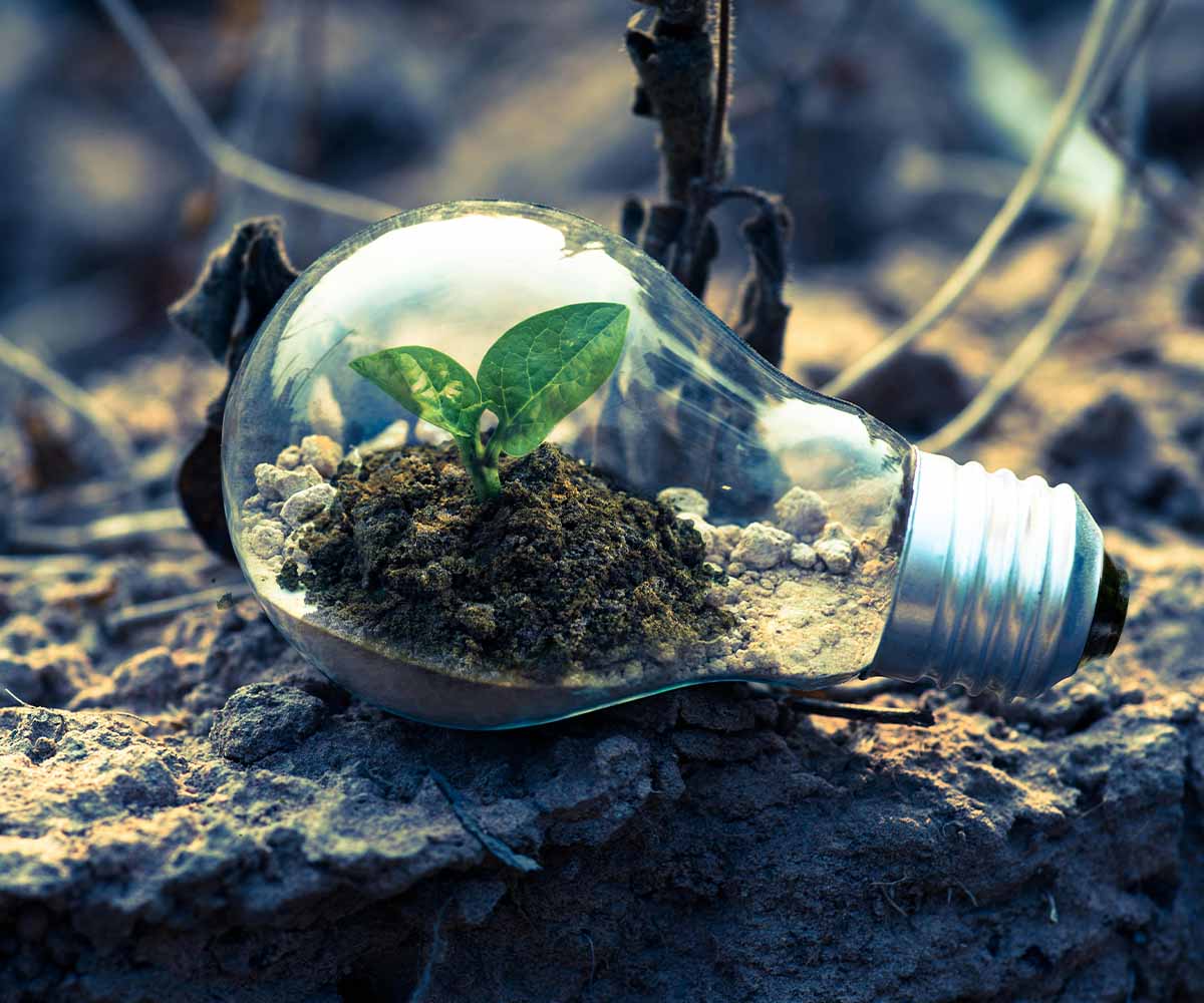 Website Designing Company for Eco Friendly Products in Dubai