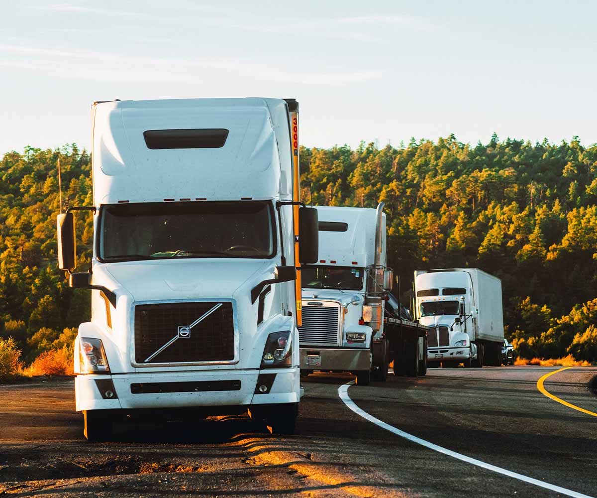 SEO for Transport Company in Dubai