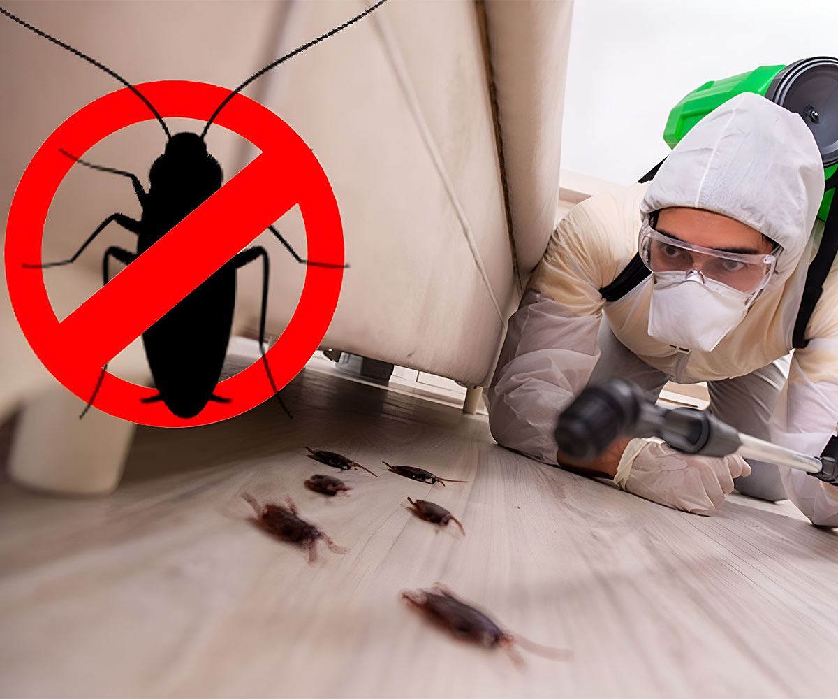 Website Designing Company for Pest Control Company in Dubai