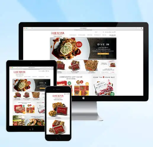 SMM Website Designing Company in Dubai