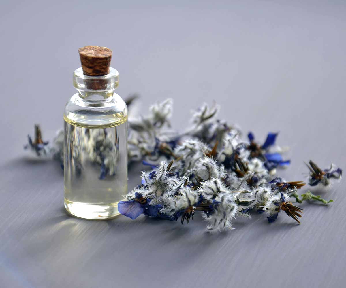 Perfume SEO Dubai Perfume SEO Dubai